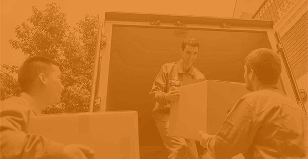 packing_bogdan_03